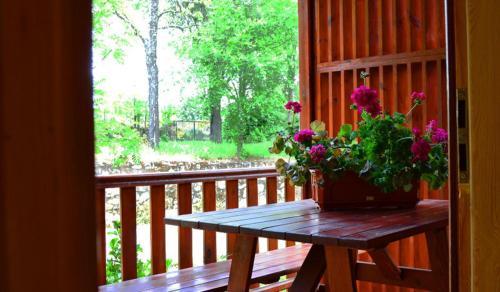 Camping Al-bereka