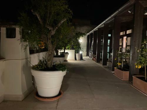 #soloperte B&B Apartments