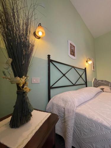 Hostal Fera5