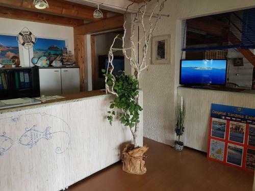 Inviting Apartment In Olbia With Shared Pool