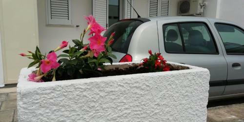 Apartamento Bilocale Centrale
