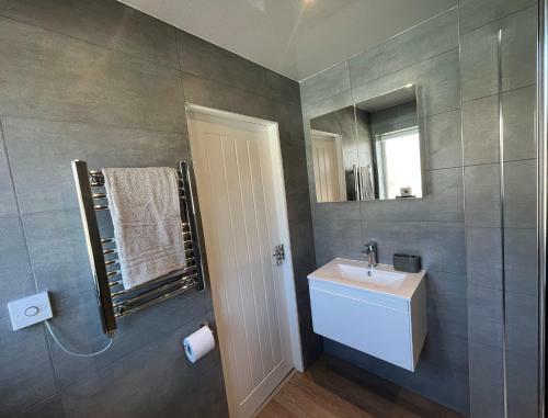 Contemporary 1 Bedroom Apartment