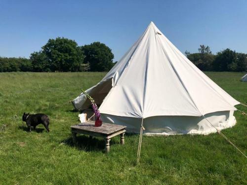 Daisy Bell Tent In The Broads
