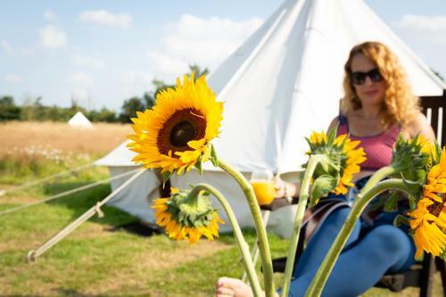 Daisy Bell Tent In The Broads