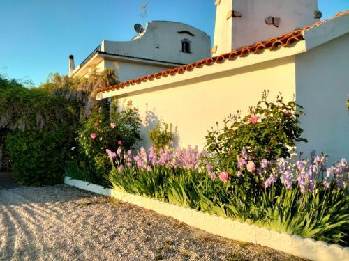Apartamento La Moresca - Casa Vacanze