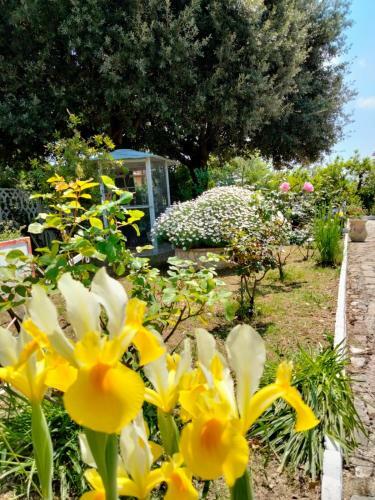 Apartamento La Moresca - Casa Vacanze
