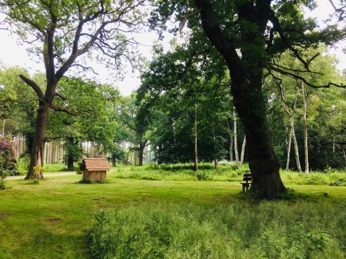 Hollicarrs - Lilypad Lodge