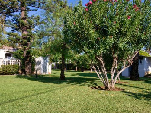 Apartment El Palmeral D�nia