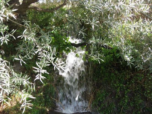 Bancal De Los P�rez
