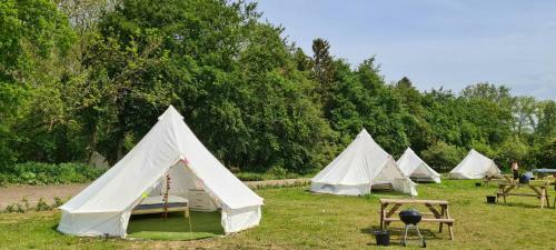 8 Meter Bell Tent - Up To 12 Persons Glamping