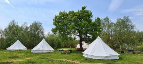 4 Meter Bell Tent - Up To 4 Persons Glamping
