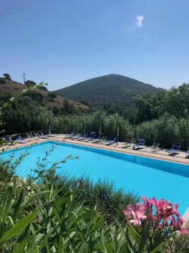 Apartamento Appartamento Con Piscina
