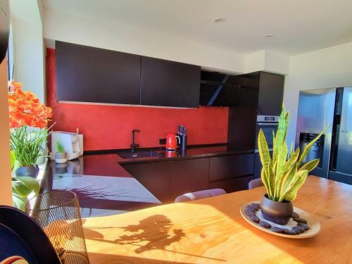 Dal Carletto Luxury Apartment