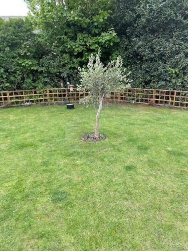 New Forest-hot Tub-pool Table-fire Pit-5bedroom