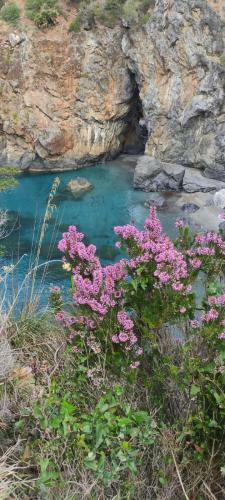 Apartamento La Casa Del Sole (arcomagno San Nicola Arcella)