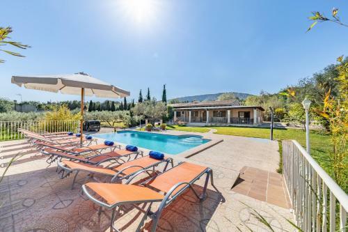 Selva-3834 Mallorca