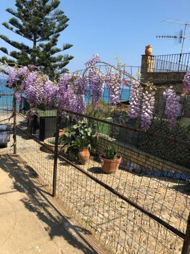 Casa Vacanza Gelsotti