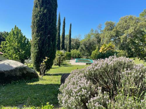 Villa Podere Fungaio - Belocations