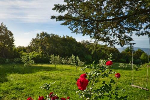 Villa Podere Fungaio - Belocations