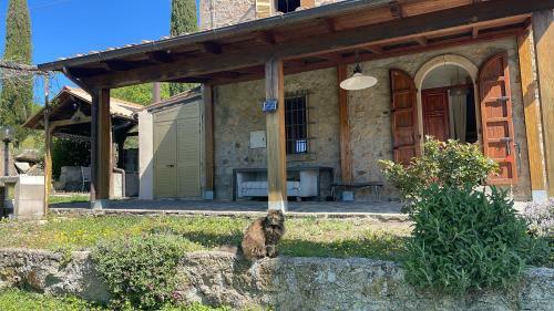 Villa Podere Fungaio - Belocations