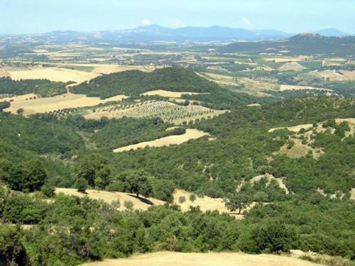 Pleasant Holiday Home In Seggiano With Private Terrace
