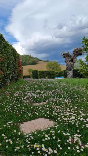 Villa Palazzata D&d