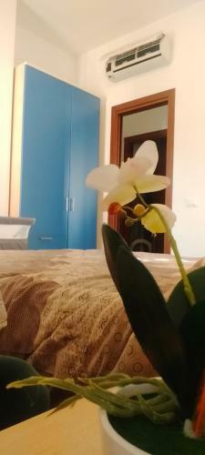 Villa Luna Che Mai Tramonta!
