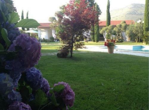 Villetta Blue Garden