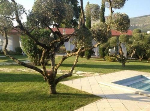 Villetta Blue Garden