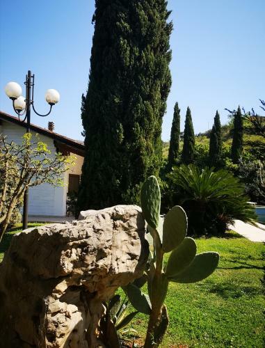 Villetta Blue Garden