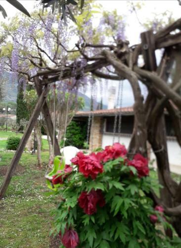 Villetta Blue Garden