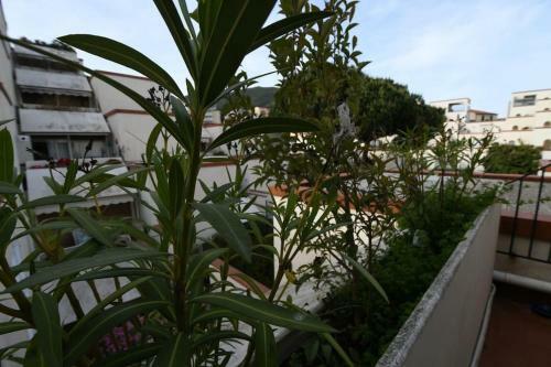 Apartamento Angelo Boat