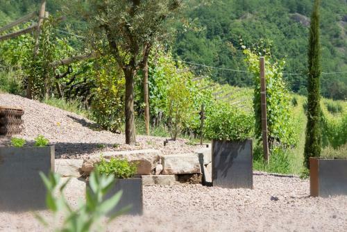 Apartamento Aromis