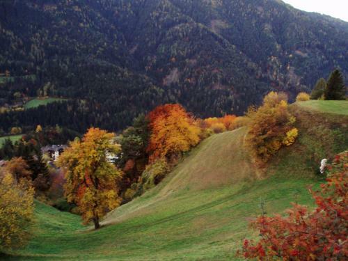 Apartamento Ferienhaus Leitner