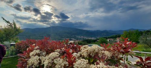 Apartamento L'angolo Di Ari