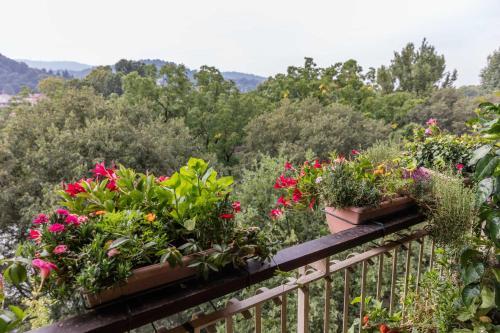 Bed & Breakfast La Terrazza Sul Po