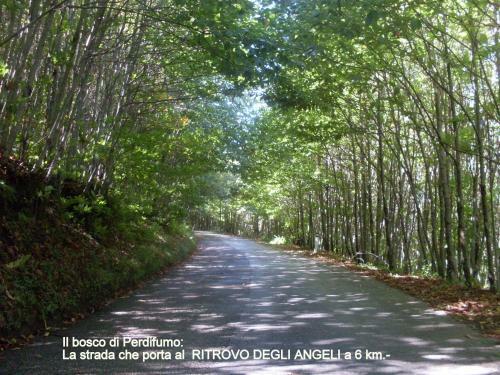 Hostal Il Ritrovo Degli Angeli