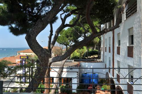 Hotel Miramare