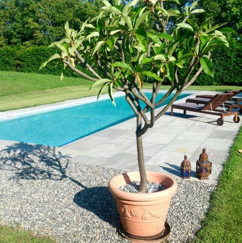 Bed & Breakfast Alla Gazza Ladra