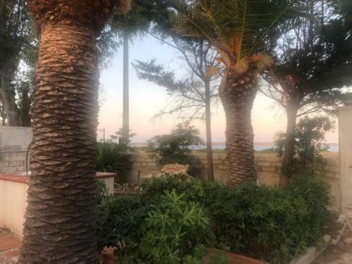 Asparan Villa In Full Relaxing Seafront