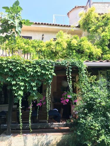 Villa Elisa
