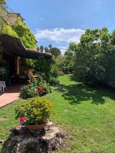 Villa Elisa