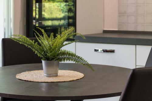 Apartamento Il Professore