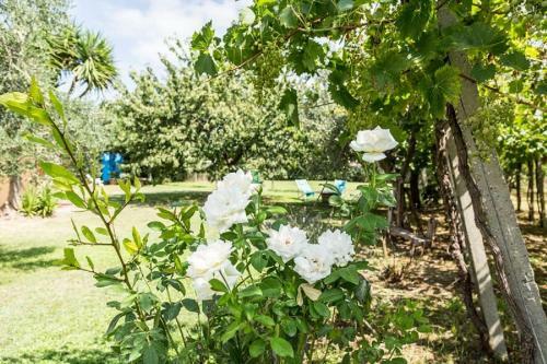 Apartamento Villa Adria