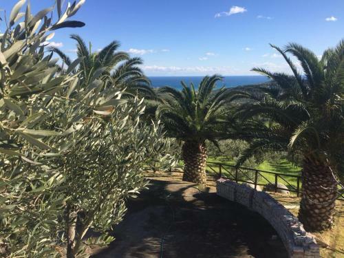 Villa Romeo - Accommodation, Olive Grove & Private Pool