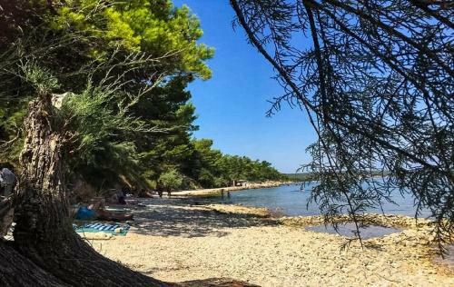 Apartments Niko - 40m From The Beach