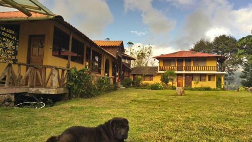 Lodge Hotel Orqu�deas Runtun