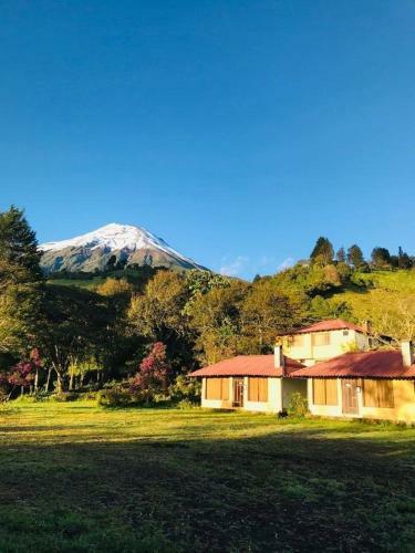Lodge Hotel Orqu�deas Runtun