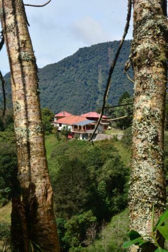 Lodge Hotel Orqu�deas Runtun