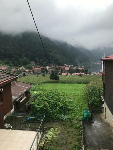 Kuzey Apart